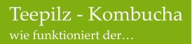 Teepilz - Kombucha wie funktioniert der